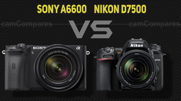 Sony A6600 vs Nikon D7500  [Camera Battle]