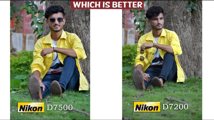 Nikon D7200 vs Nikon D7500 Comparison Outdoor Photography Live Demo