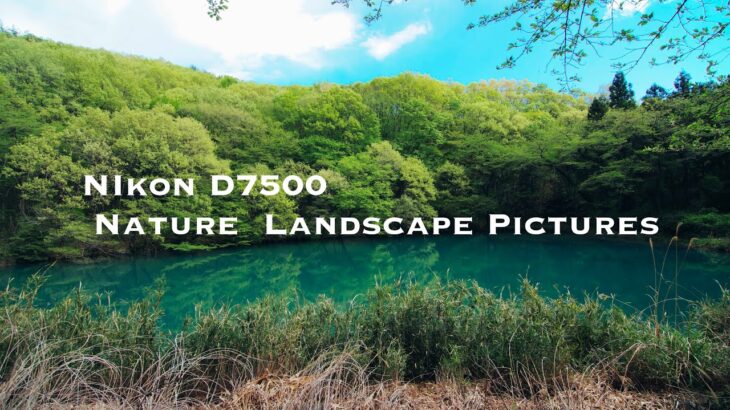 Nikon D7500  The Lake – Japan Nature Landscape Pics ( VLog )