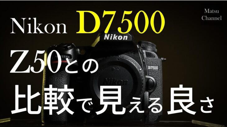 【Nikon D7500】Z50を持つ今 使い続ける理由～ミラーレス時代に 一眼レフを買っていいのか？～