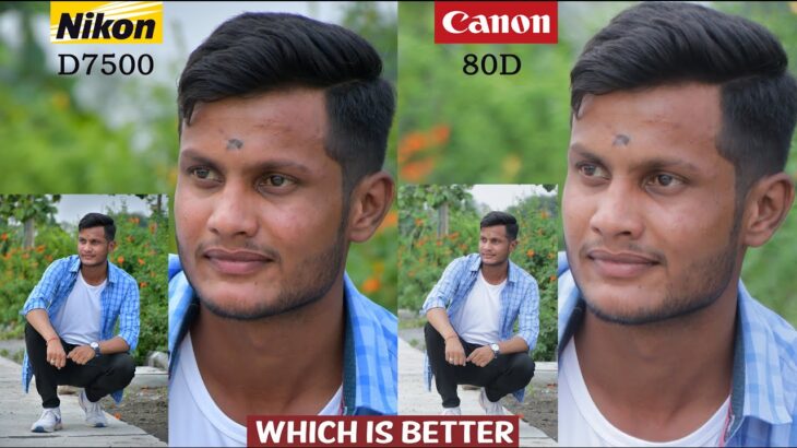 Nikon d7500 vs Canon 80d Comparison Outdoor Photography Live Demo