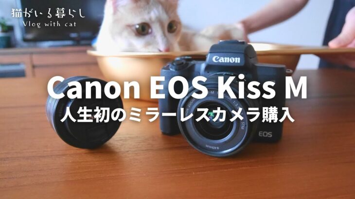 CanonのEOS Kiss MをYouTubeの動画撮影用に購入 / 発売後時間が経ってもコスパ最強のおすすめカメラ【ミラーレスカメラ初心者】