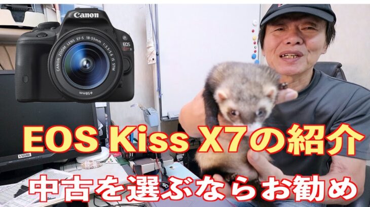 EOS Kiss X7の紹介　（中古を選ぶならお勧め）