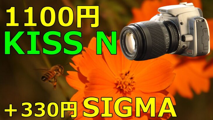 【ジャンク】1100円 CANON EOS KISS DIGITAL N と 330円 SIGMA UC70-210mm 動作検証・作例 衝動買い一眼レフカメラレンズセット