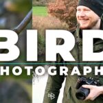 Bird Photography with Nikon D7500 and 70-300mm Lens