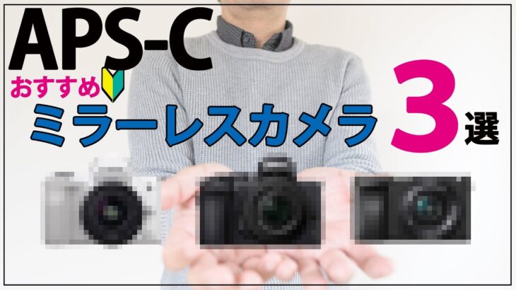 【APS-C】おすすめのミラーレスカメラ３選今から始めるならこれ！