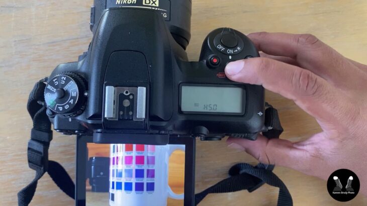 Función ISO Cámara Nikon D7500