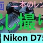 Nikon D7500試し撮り動画　キットレンズのAF-S18-140mmとシグマ17-70 DC OS HSM