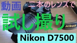 Nikon D7500試し撮り動画　キットレンズのAF-S18-140mmとシグマ17-70 DC OS HSM