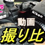 Nikon D7500とD3500で桜を動画撮影