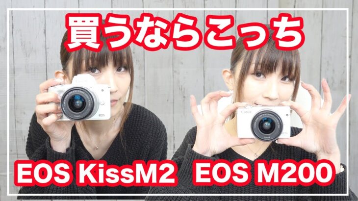 EOS M200とEOS KissM2を徹底比較【人気ミラーレスカメラ】