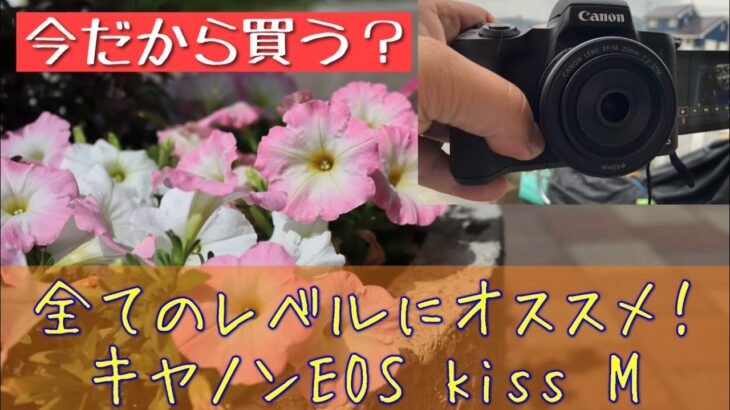 作例アリ！今だから買う？キャノンEOS Kiss Mは手軽で本格的にも撮れる万能機でした(#^.^#) #EFMマウント #APS-C #ミラーレス一眼 #スナップ写真