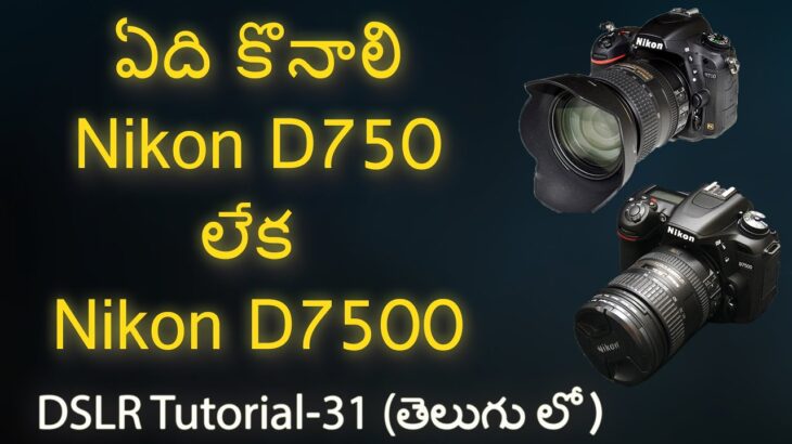 ఏది కొనాలి Nikon D750 లేక  Nikon D7500|Comparison Nikon D750 Vs 7500 |DSLR Tutorials in Telugu # 31|