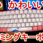 【レビュー】ノーマルでこんなお洒落なキーボードある！？【オススメ】EPOMAKER AKKO 3061 R2 World Tour Tokyo