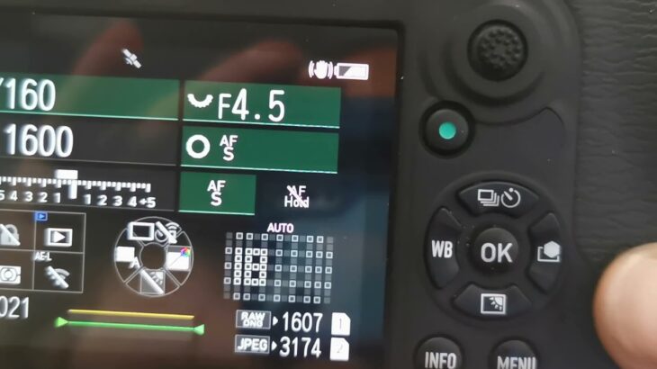 Getting to know the Pentax K-3 Mark III. Part 2. The OVF Auto Focus Settings
