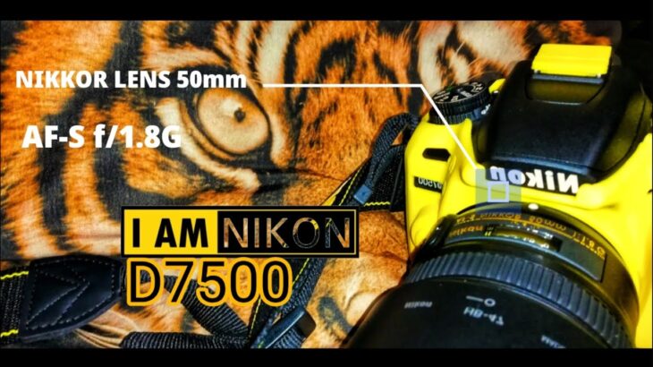 Nikon D7500 on Nikkor AF-S 50mm f/1.8G