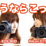 Canon EOS 80DとNikon D7500を徹底比較【一眼レフカメラ】