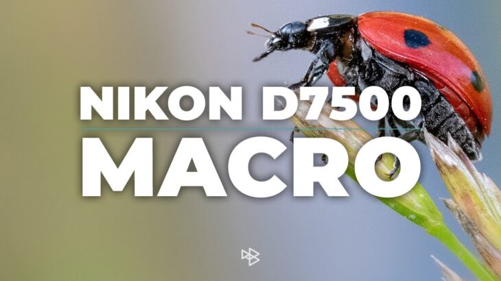 Is the Nikon D7500 Good for Macro Photography?