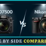 Nikon D750 vs D7500 Comparison | Full frame or APS-C Sensor?