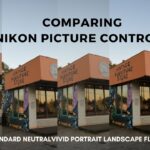 Nikon Picture Controls Comparison || Nikon D7500