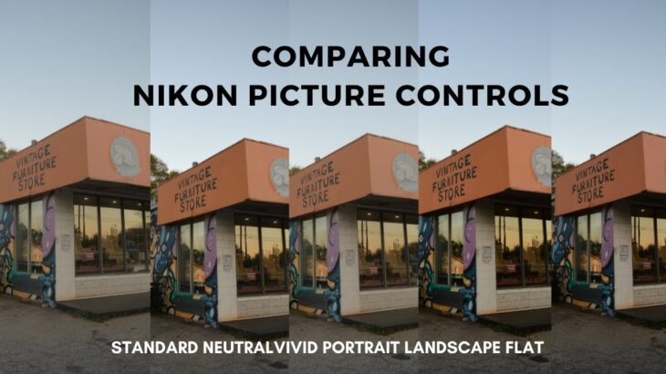 Nikon Picture Controls Comparison || Nikon D7500