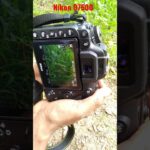 Nikon d7500 picture click #camera #shorts video #viralvideo #Hansmukh_garg #DSLR