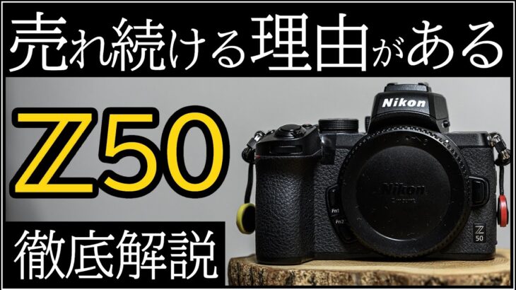 Nikon Z50 【カメラ初心者にオススメするコスパの高いミラーレス一眼】特徴を1カ月レビューと一緒に解説。