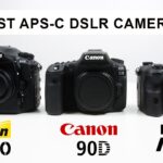 The Last Best APS-C DSLR CAMERA of 2022  Nikon D500 vs Canon 90D vs Pentax K3 MKIII  WILDLIFE