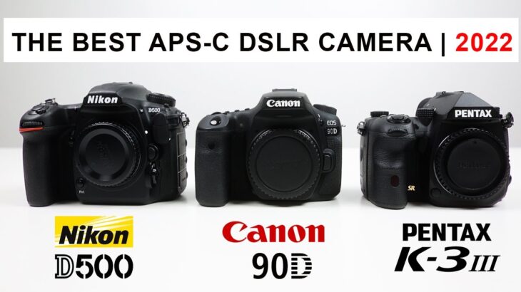 The Last Best APS-C DSLR CAMERA of 2022  Nikon D500 vs Canon 90D vs Pentax K3 MKIII  WILDLIFE
