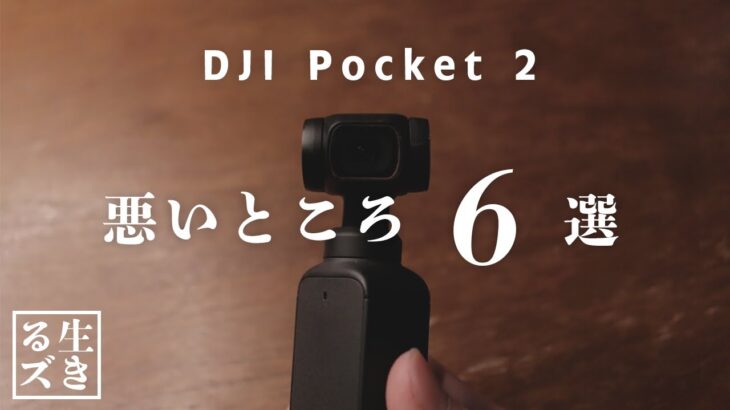 【おすすめvlogカメラ】DJI Pocket 2の悪いところ6選【DJI Pocket 2 vlog #14】