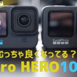 GoPro HERO10 今回は地味にすごいかも！開封そして裏山でテスト 4K ゴープロヒーロー10