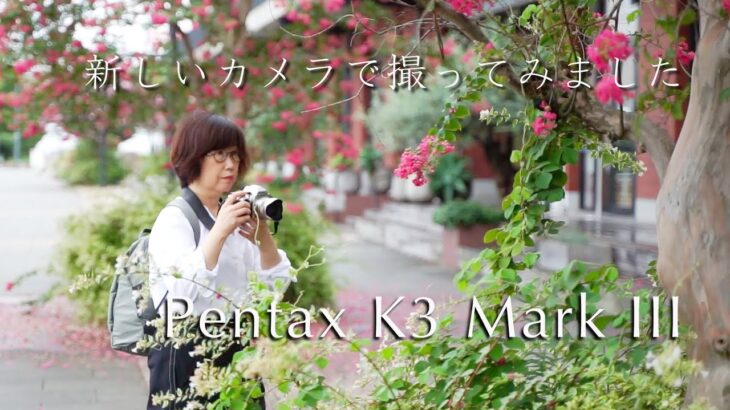 PENTAX K3 MarkⅢ でヨコハマを撮り歩く