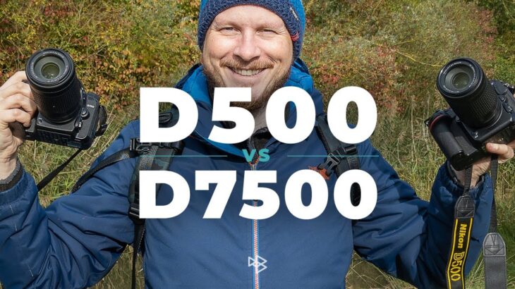 Nikon D500 vs D7500 in 2021
