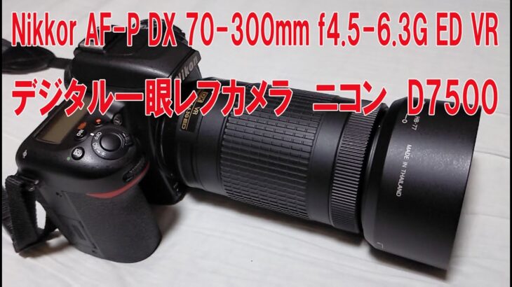 デジタル一眼レフカメラ　ニコン　D7500+Nikkor AF-P DX 70-300mm f4.5-6.3G ED VR