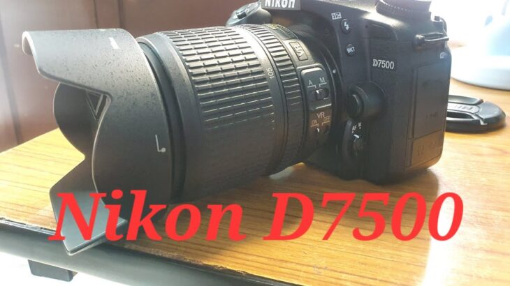 Nikon D7500 Company warranty left With Bill