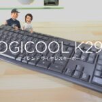 レビュー｜logicool K295はコスパ最高のキーボード【ケマレビュー】