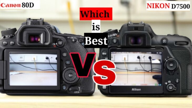 Canon 80D vs Nikon D7500 comparison Which is Best
