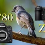 【万能機】Nikon D780 vs Z6ii 超望遠レンズでの比較