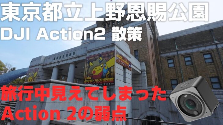 DJI Action 2 散策 東京都 台東区 春の上野公園 「旅行中に見えてしまったAction 2の弱点」