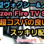 新型ヴォクシー　新型ノア　Amazon Fire TV Stickを超コスパが良くてスッキリ配線で視聴する方法を紹介します🎵