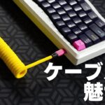 【かっこいいキーボードはケーブルから！】CableModのカスタムUSBケーブルレビュー  | CableMod – Custom USB Cable Review