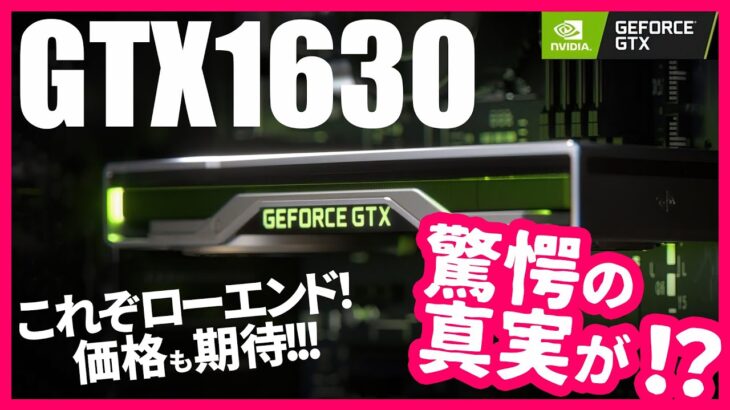【GTX1630】ようやくやってきたローエンドグラボ！でも驚愕の真実がっ！？【ローエンド】