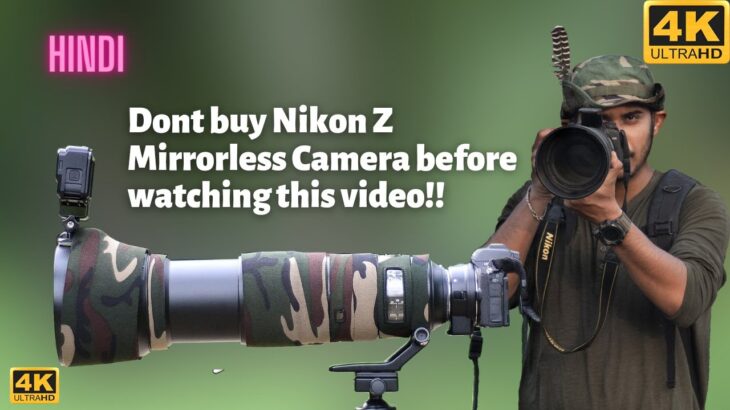 Nikon Z50 Review with Nikon 200-500 mm lens | Nikon Z50 vs Nikon D7500 | Nikon Z50 Autofocus Test |