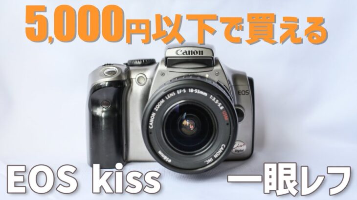 【味わい深い写真が撮れる！】話題のaps-c 5,000円で買ったカメラがとっても良かった！~canon eos kiss digital~