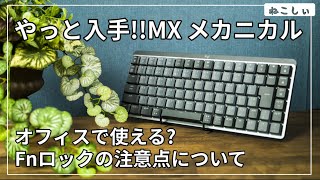 [レビュー Logicool MX メカニカルMini 茶軸] MX Keys MiniとG915(913)TKLと打鍵音比較。オフィスで使えるのか?ファンクションロックの注意点[ねこしぃの周辺機器]