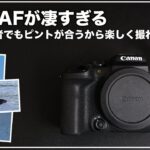【Canon R10】静止画性能レビュー(AF編) ~R3ゆずりのAFを使いこなすための設定~