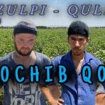ZULPI – QULPI | 10-QISM | QOCHIB QOL         #zulpiqulpi #serial