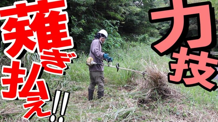 草や木がデカすぎて進まない｜山道脇の藪をボランティアで草刈りする