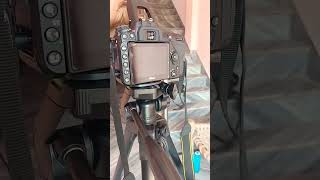 Nikon d7500 camara short video 2022