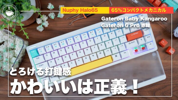 NuPhy Halo65 とにかく気にいった！白くてかわいいだけじゃないぞ！打鍵感も素晴らしい！Gateron赤軸とBaby Kangarooの比較も。10%割引クーポンあります。